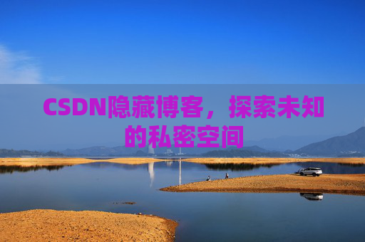 CSDN隐藏博客，探索未知的私密空间